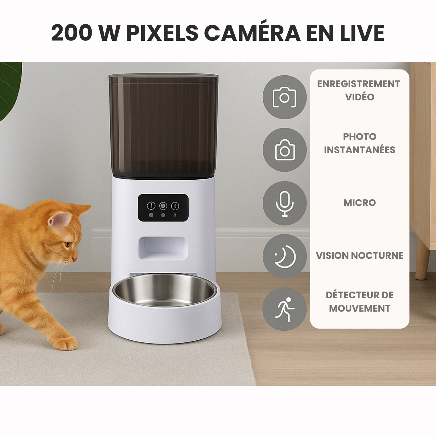 Distributeur Smart Croquettes – WiFi ou Vidéo